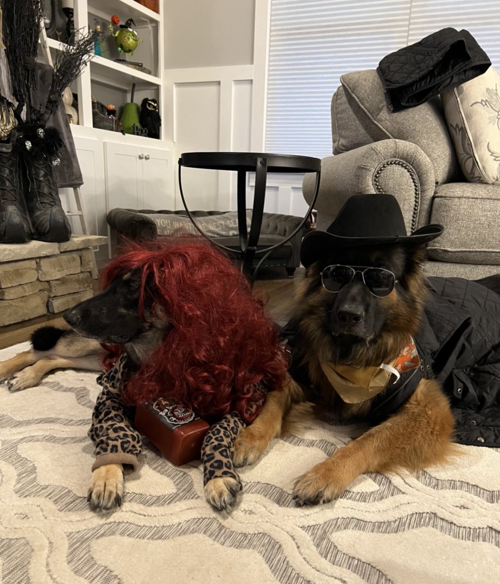 SlimDownDiva's tweet photo. @DanaPerino check out Landry&amp; Puck ode to Yellowstone. @LandryAgnesGSD as Beth and Puck as Rip.  Sheldon was a Sonic hotdog to avoid the train station😂 https://t.co/YBDWTAStH1