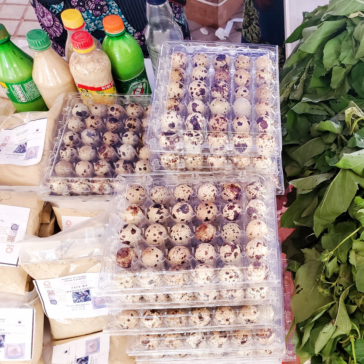 QuenumLorraine's tweet photo. Visite des stands des #JPOBenin de l'@IFDCBenin avec Mr le Ministre de l'Agriculture, de l'Elevage et de la Pêche.
🤩l'agriculture au Bénin a décidément de quoi s'enorgueillir.
#ACMA3 #Acma2 @lemasayi @OumouMCamara1 @100KIT @DangbegnonC @ToTjoelker https://t.co/7MIpKXRtPU