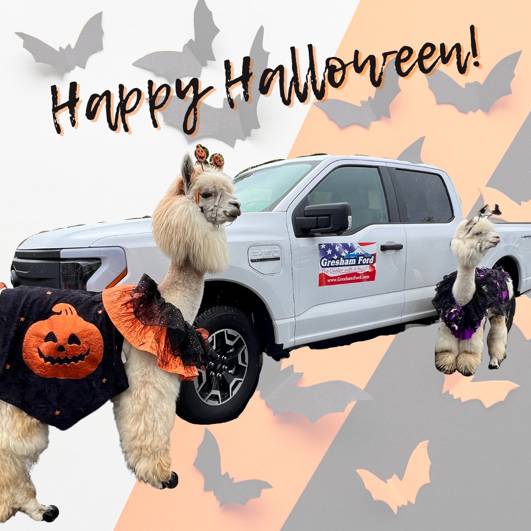 GreshamFord tweet media