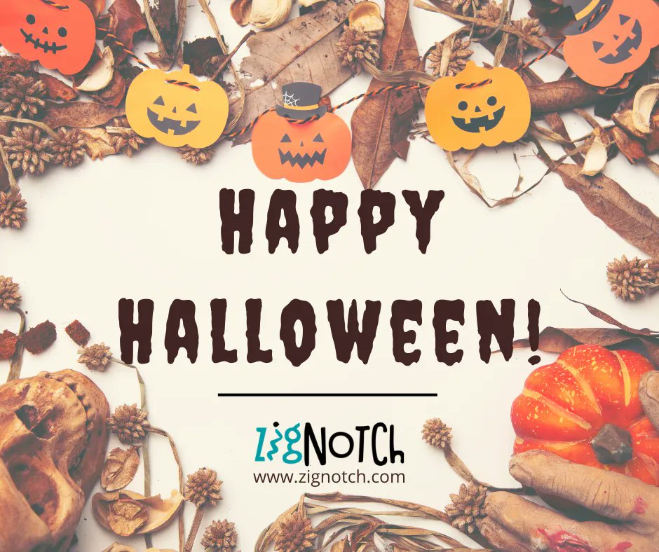 ZIGnotch tweet media