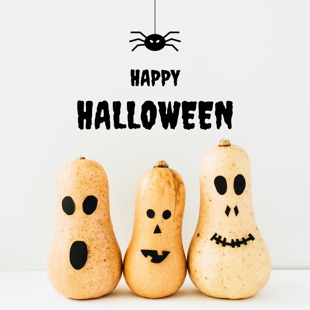 PathfindNow's tweet image. Happy Halloween! We hope that you have a spooky day full of tricks and a whole lot of treats!