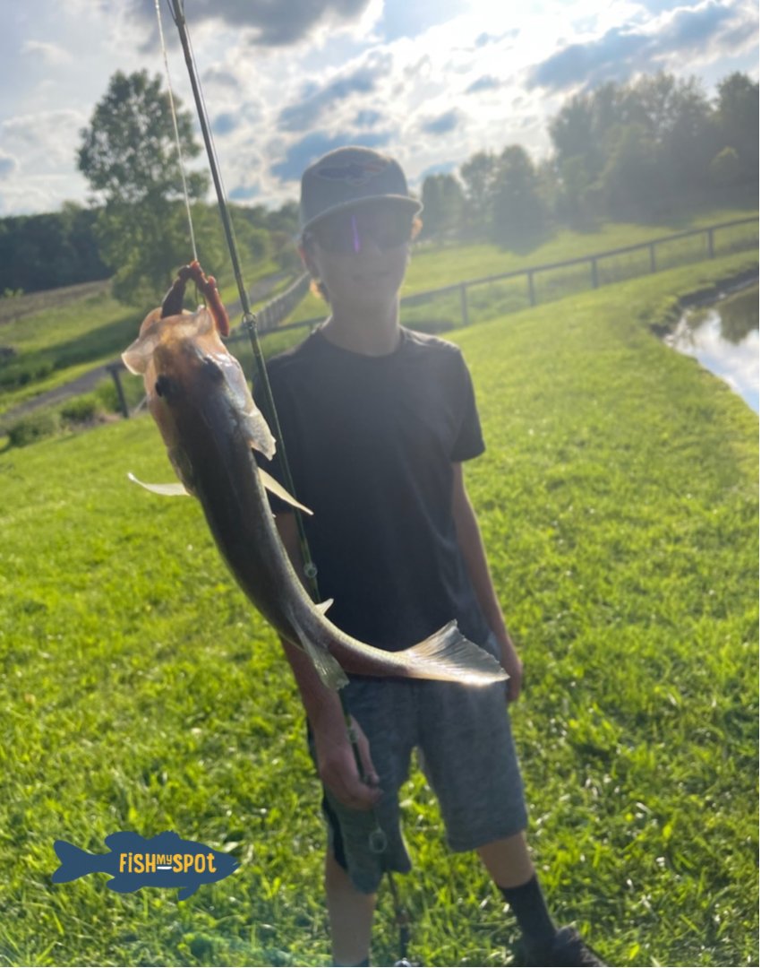 'Fishing' you a spooktacular Halloween! 🎃👻