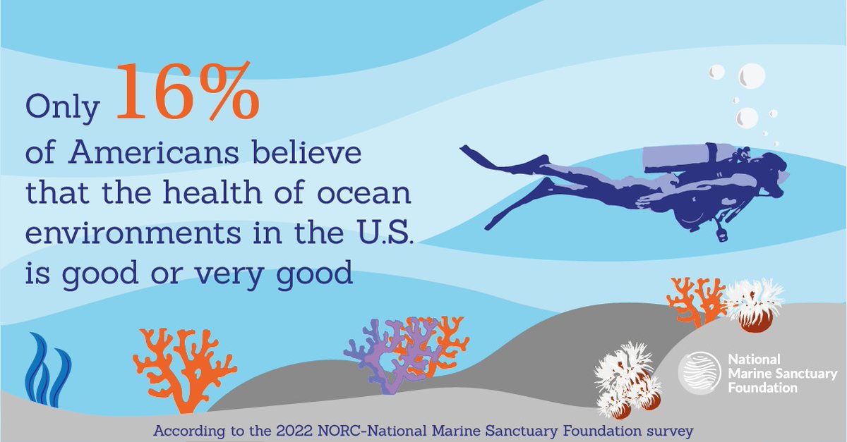 marinesanctuary's tweet photo. Want to hear something #scary? Only 16% of Americans think the health of #ocean environments in the U.S. is good! 

But this #spooky  story can have a happy ending if we support strong action to protect our ocean, coasts &amp; Great Lakes. https://t.co/VcH3499eIC #OceanClimateSurvey https://t.co/k2JZ1TrHXJ
