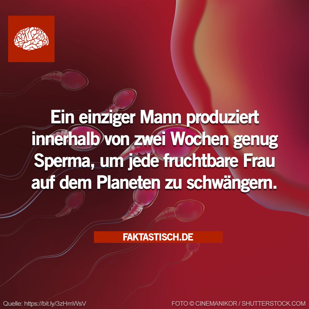 SeelosThomas's tweet photo. Aufgepasst! Bin bereit #werwill #allenurrden #keinedeinmut #fuck #werwillbittemelden https://t.co/f2IZEx50Jn