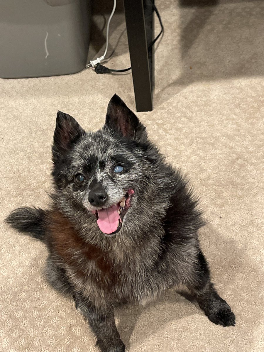 AvenBolf tweet picture