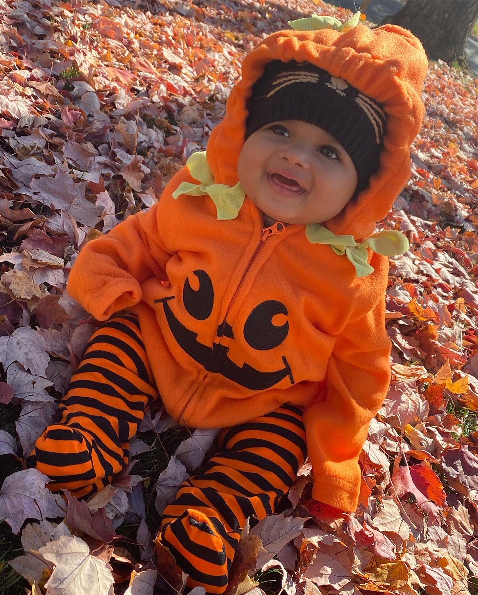 __BackendBaby's tweet photo. Happy Halloween from the cutest pumpkin out the patch 🧡🖤 https://t.co/n02duPCqMR