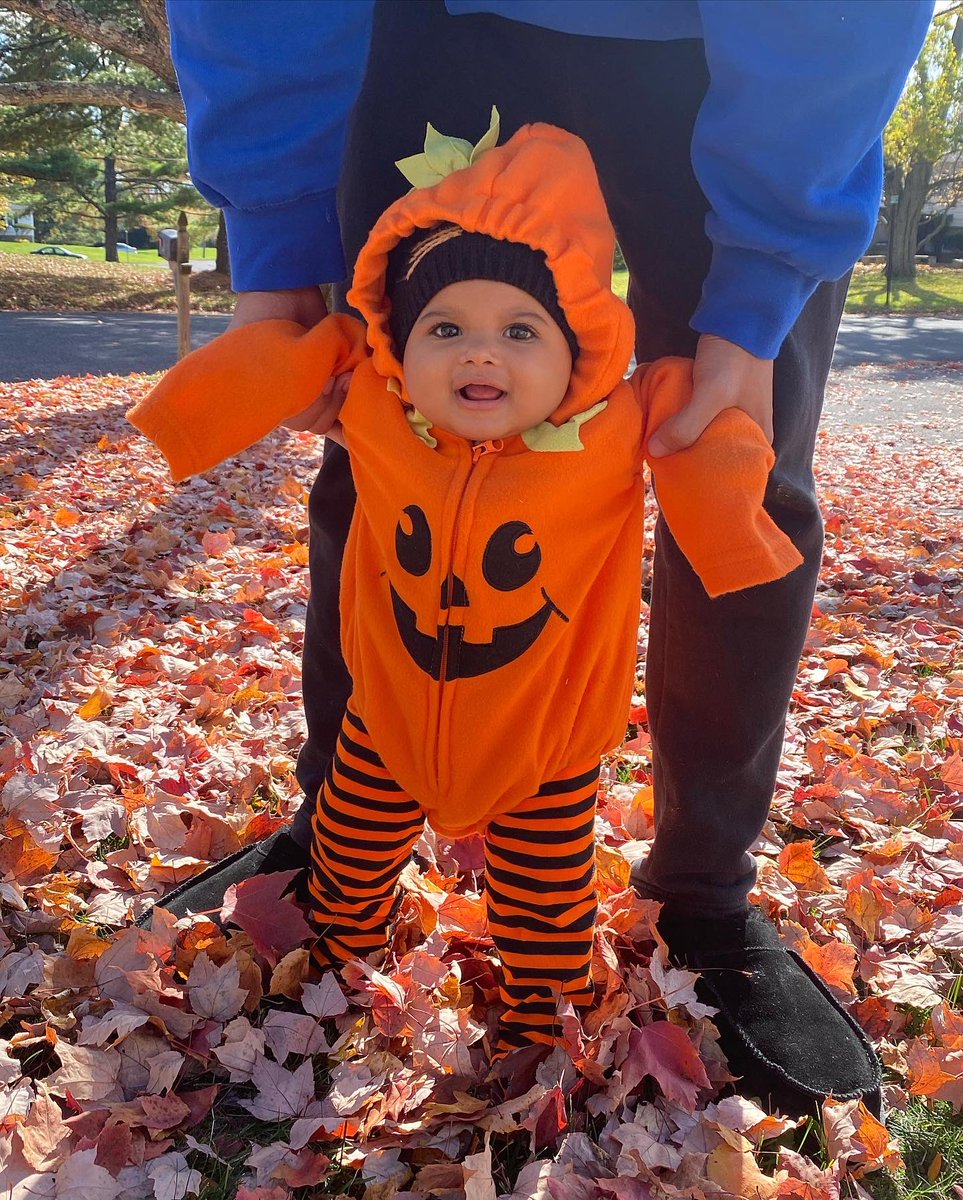 __BackendBaby's tweet photo. Happy Halloween from the cutest pumpkin out the patch 🧡🖤 https://t.co/n02duPCqMR