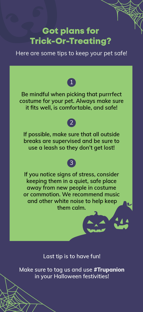 Trupanion's tweet photo. Happy Halloween! If you have plans for Trick-Or-Treat fun this year, here are some tips to keep your pets safe and happy! 🎃🕷 https://t.co/bZWj9SrgCF