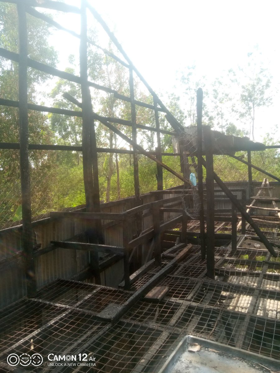 JosephSande's tweet photo. @KevinMainaK @KenyaPower_Care It's so unfortunate for the owner to loose his/her properties in such a manner... I know what it real feels like, coz it happened to me on 12/06/2022 at night where I lost more than 1000 chicken and poultry structure and other poultry related equipment. I had to lay off my stuff https://t.co/gFrGYiTDBC