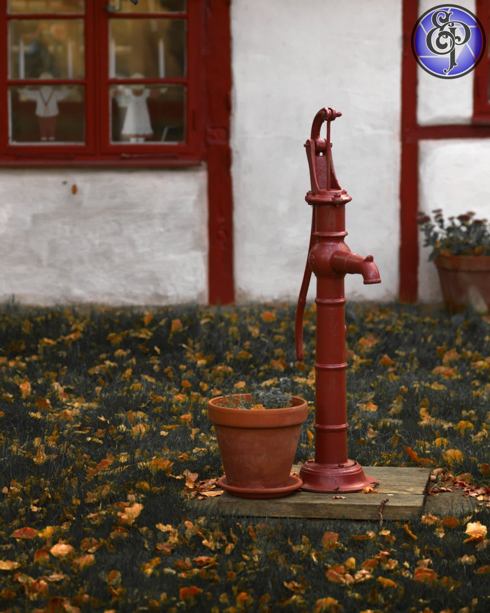 EdvardPiper's tweet image. Autumn makes itself known
-
-
-
-
📷 @canon #eos5dmark4 
-
-
-
#canonphotography #canonphotographers #canonnordic #sweden #rawphotography #instaphoto #canoneos5dmarkiv #Sweden_by_us  #semesterkansla #Instaskeppet #skanörmedfalsterbo #Skanör