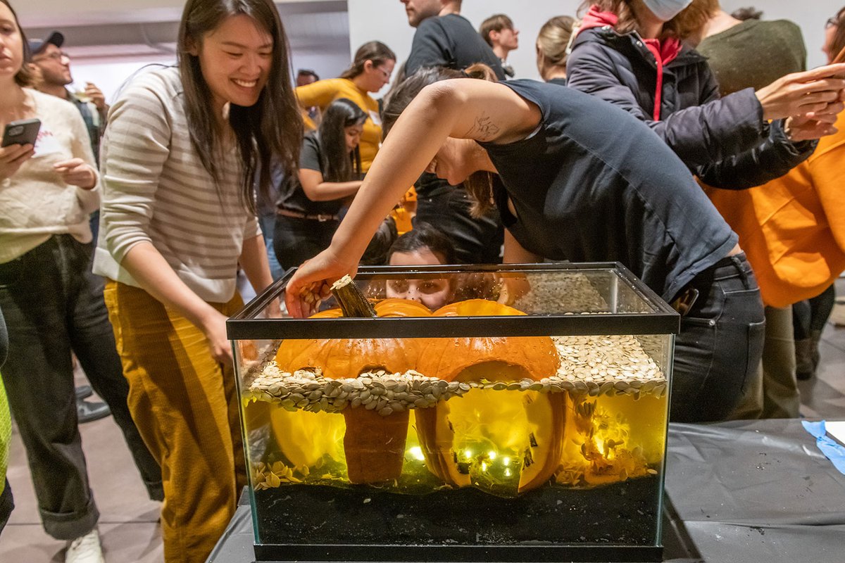 CenterForArch tweet media