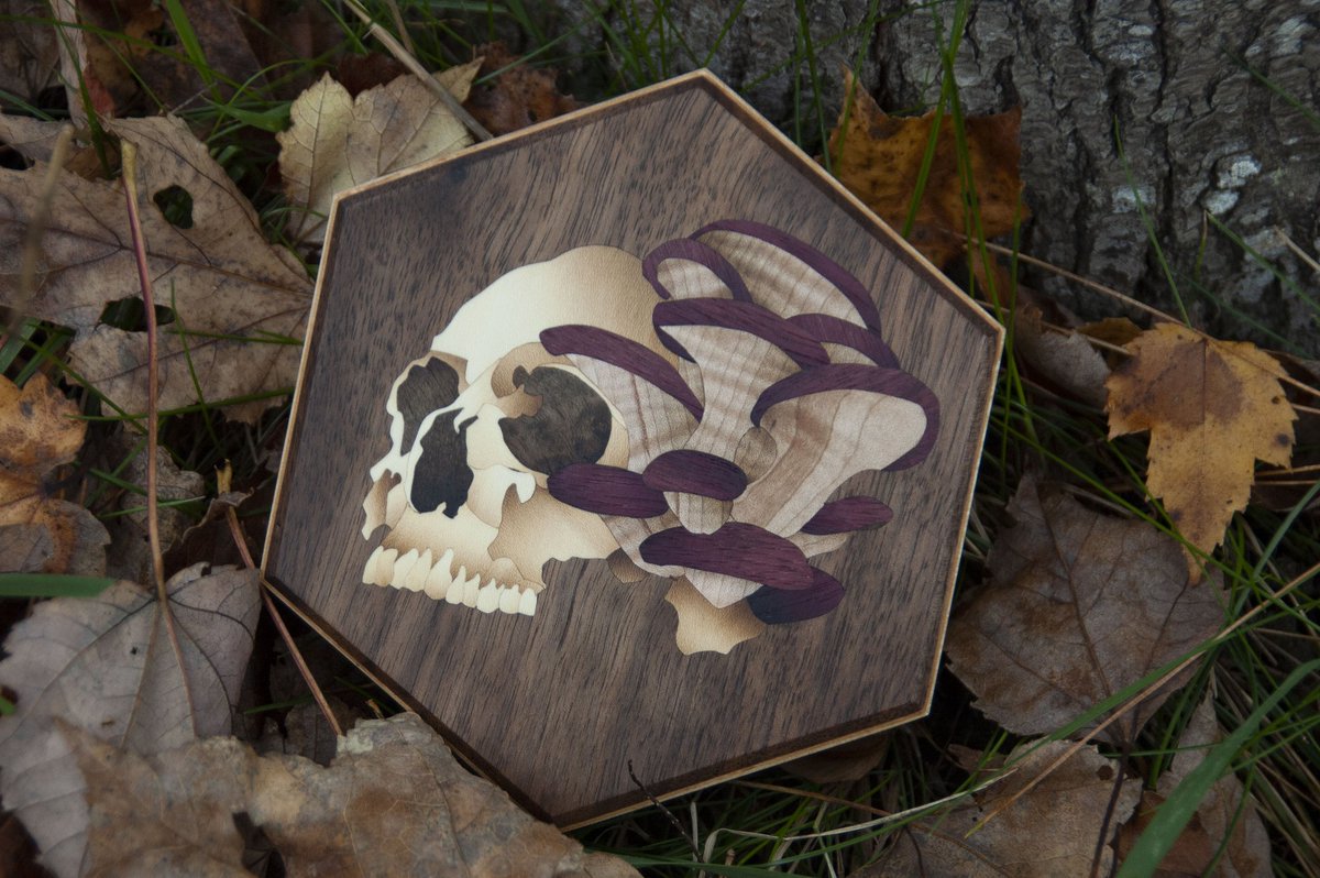 ✨️#GIVEAWAY✨️

Enter for a chance to win this gorgeous fungal skull marquetry dicevault.

Rules for entering:
Follow me
Like + retweet this post
Donate $5 per entry to @nebulous_lalo GoFundMe to help pay the medical bills for her cancer treatment. 
(Link below)