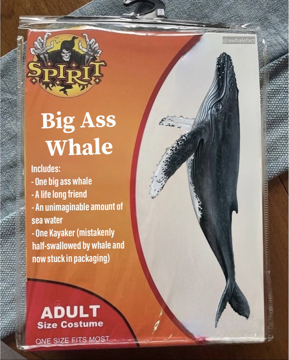 awhalefact's tweet image. big ass not included