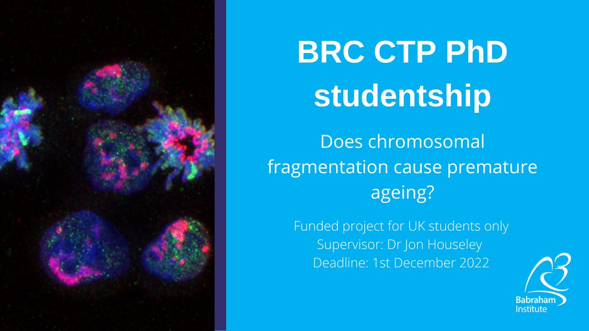 BabrahamInst's tweet image. PHD OPPORTUNITY: ‘Does chromosomal fragmentation cause premature ageing?’ with Dr Jon Houseley
Apply by 1st December 

Find out more: babraham.ac.uk/work-and-study… 

#PhD #PhDVacancies #PhDStudents #PhDProjects
