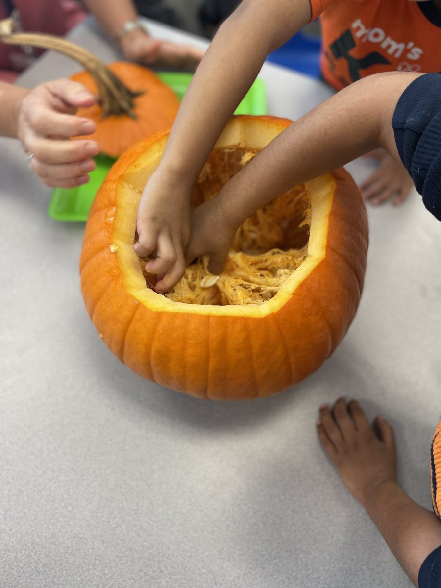 It’s our annual pumpkin day in PreK! Students learned all about the properties of pumpkins through a real, hands-on experience! #CommittedAtTheCreek