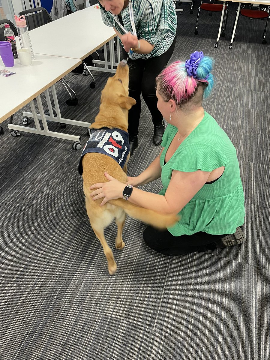 Durham Constabulary OK9 Wellbeing and Trauma Dogs tweet media