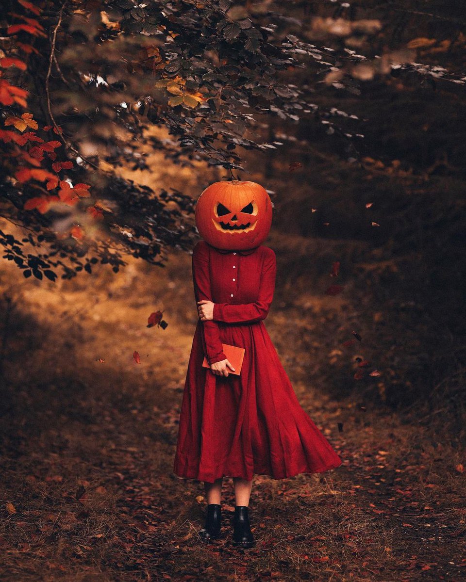 🎃 by Adam Bird Photography