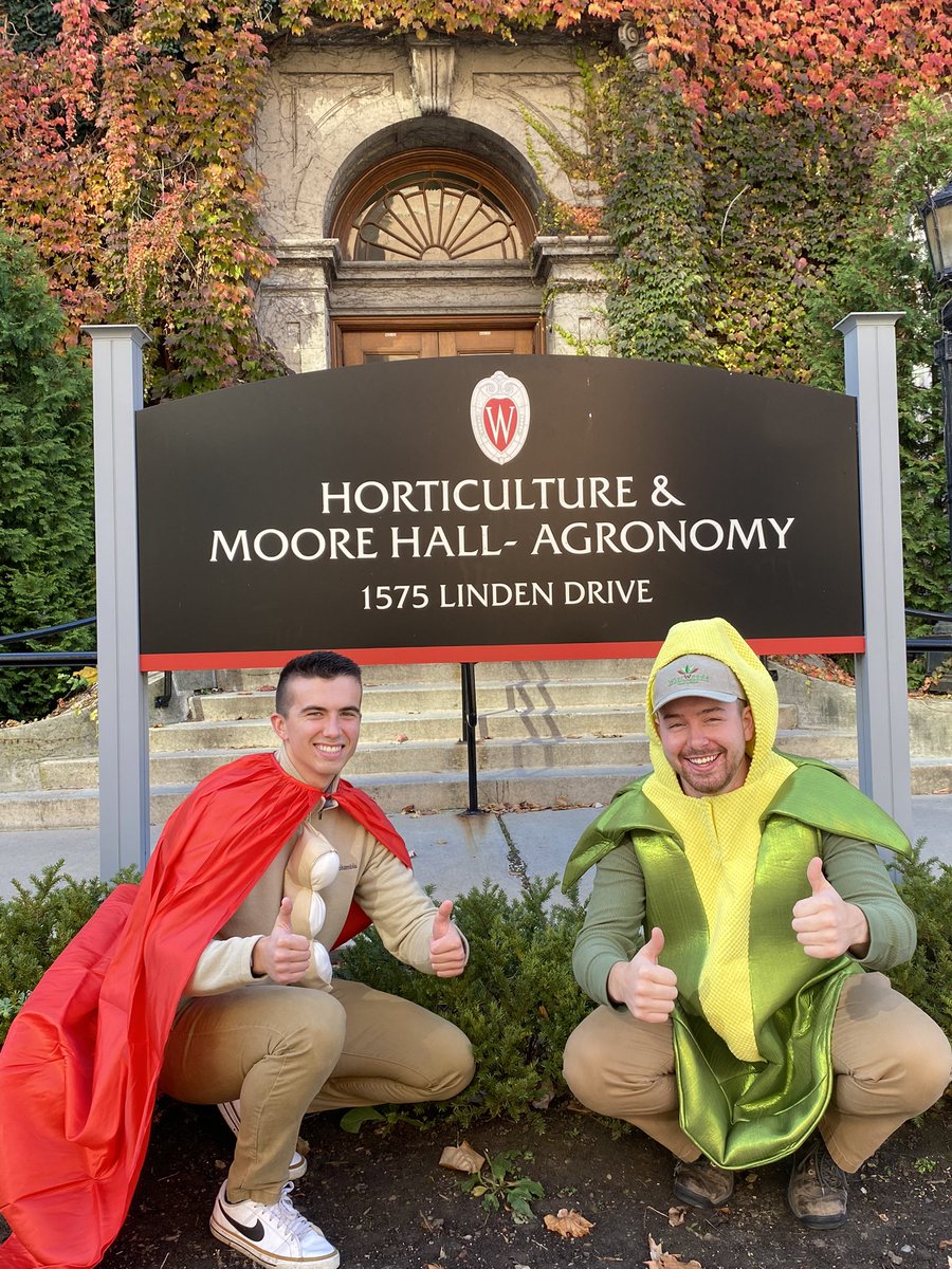 JacobFelsman's tweet photo. POV: Your corn and soybeans with an integrated weed management program.

Happy Halloween!! https://t.co/KgN80on6D9