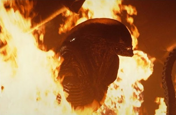 AlienPredatorU1's tweet photo. #AlienInfinite https://t.co/LGL8rAy9y4