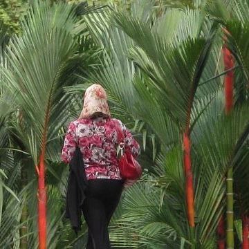 حسین ابراهیمی tweet media