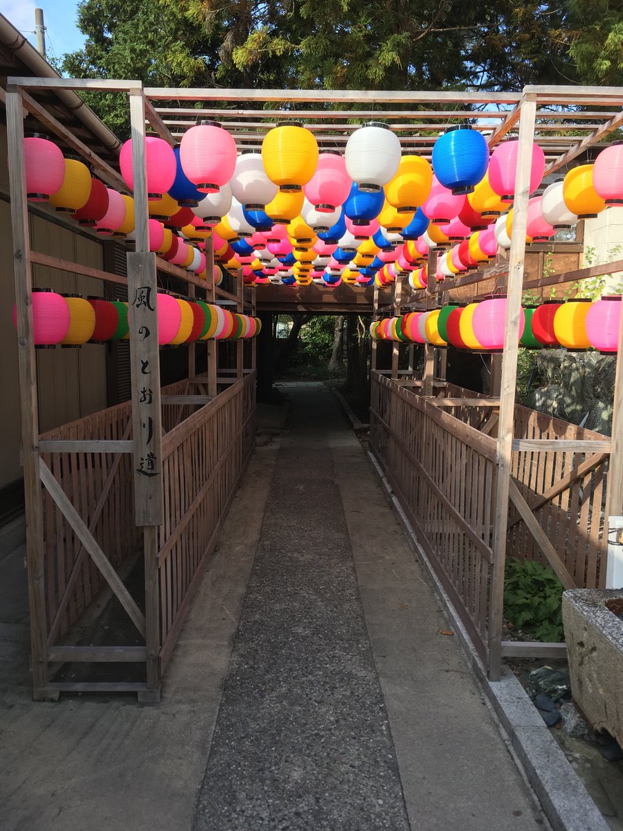 ハロウィンらしいことは何もできなかったけど、別小江神社に御朱印頂きに行ってきた。初の誕生日御朱印うれしい✨ 