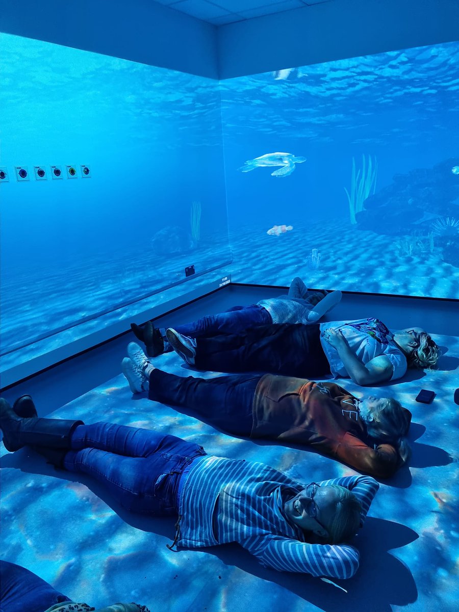 EnhancedUnit's tweet photo. Thank you @ResusSimLTHTR for a great morning doing B@EASE refresher, the Immersive system is amazing to simulate our working environment, play a few games and finish with a chill under the sea 😎😊 #teamsecu https://t.co/gdO4ZFUevX