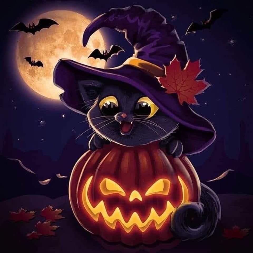 PinkPooches's tweet photo. #BeSpooky https://t.co/cesPzBJGZ7