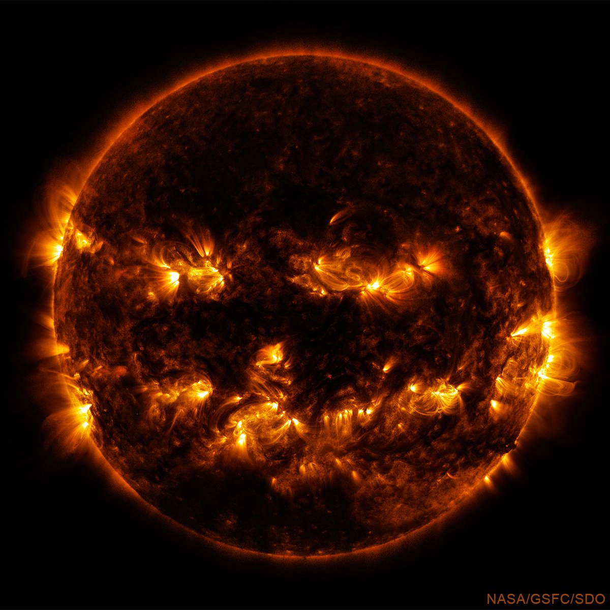 chandraxray's tweet photo. On a dark &amp; eerie night, in the sleepy hollow at the center of our solar system...  active regions on the Sun produced the largest jack-o'-lantern known. This ultraviolet image from @NASASun shows an intense &amp; creepy batch of magnetic fields in the Sun's corona. Happy #Halloween! https://t.co/wMO46FZQ03