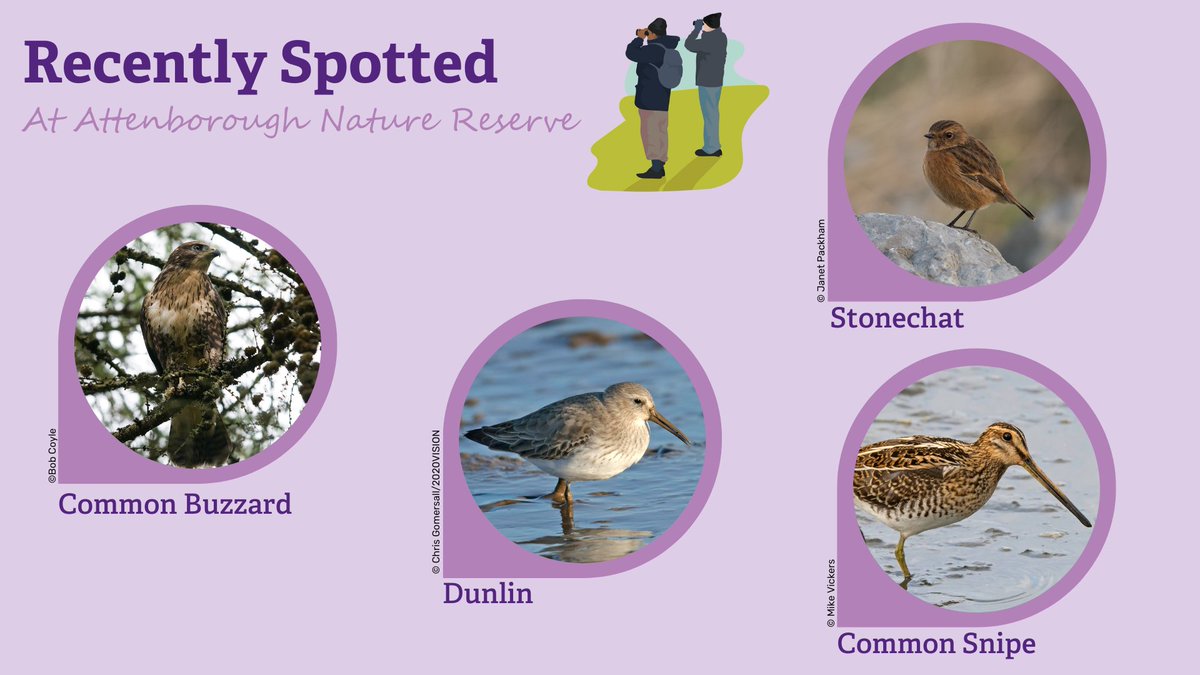 Attenborough Reserve tweet media