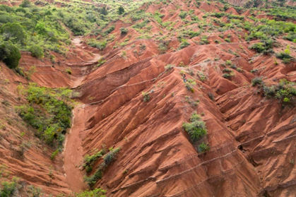 InfoweekM's tweet photo. Reciben tarjeta verde de @UNESCOMexico  geoparques mexicanos impulsados por  @Gaceta_UNAM  Comarca Minera, @gobiernohidalg y Mixteca Alta @GobOax 
La revalidación por cuatro años significa que cumplen con aspectos fundamentales e iniciativas que promueven desarrollo local. https://t.co/Cy9yAwVyoB