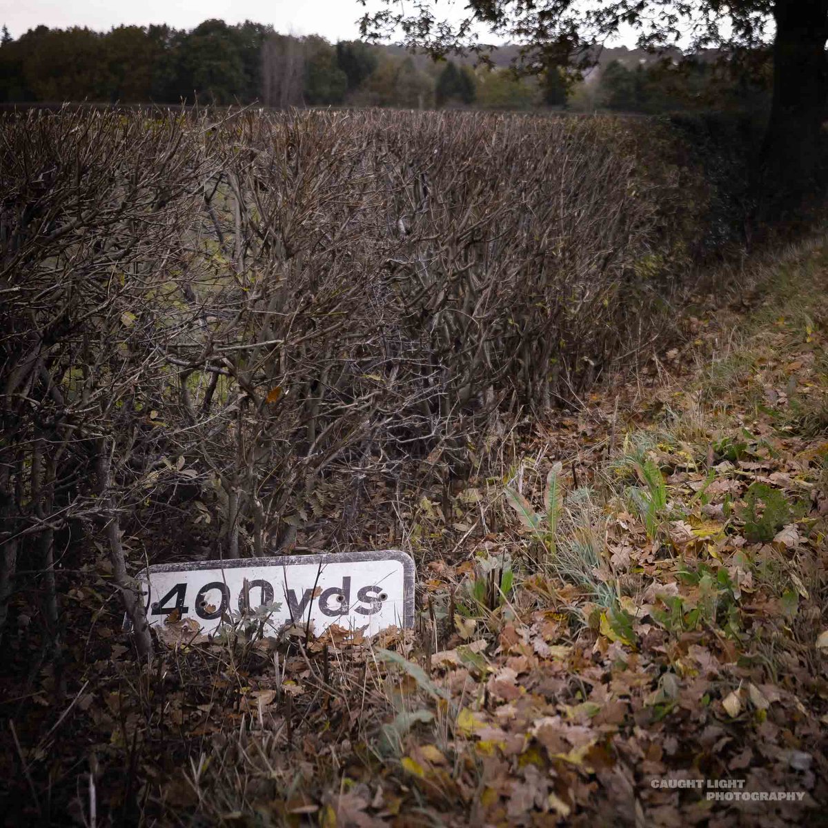 caughtlight's tweet photo. #Signs #SignsProject #PersonalProject #Photography #LongTermProject #Road #LostSign #IRPhotography #InfraRed #OneChannelColour https://t.co/k50ZfKSV2U