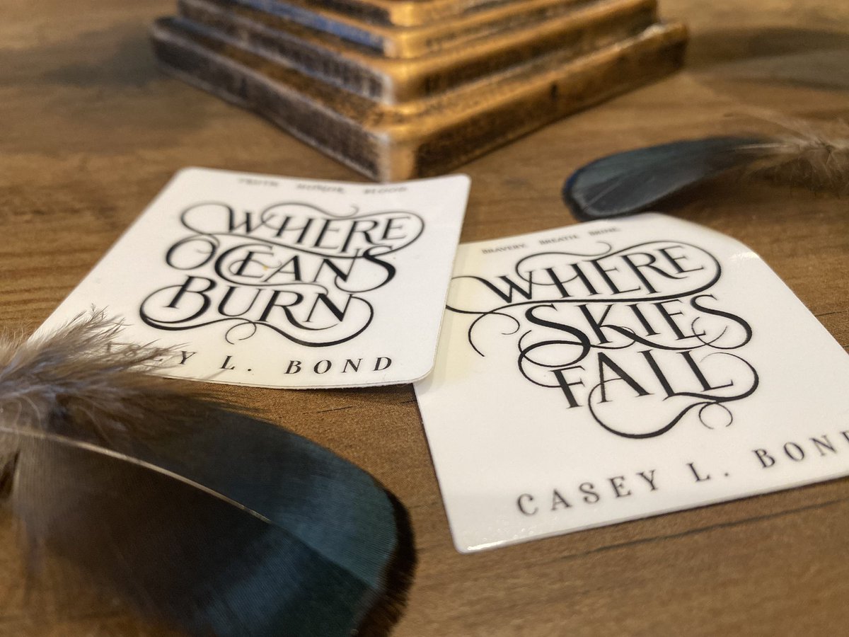 Happy Halloween! Today, I revealed the title to the sequel to Where Oceans Burn - Where Skies Fall!! It releases January 13th!! 🖤🖤🖤🪶🪶🪶