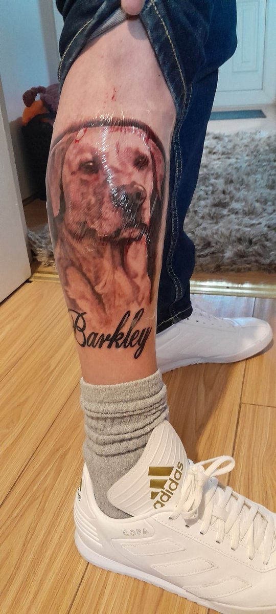 WeeBarkley's tweet photo. HE finally done it..#labradors #newtattoo https://t.co/64dfAE4edD