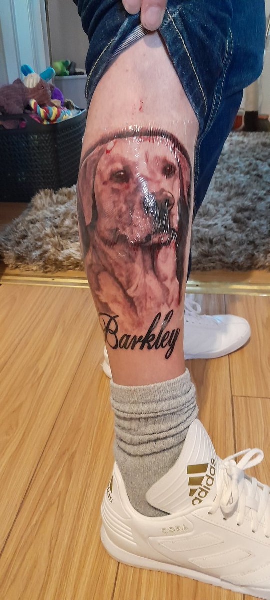 WeeBarkley's tweet photo. HE finally done it..#labradors #newtattoo https://t.co/64dfAE4edD