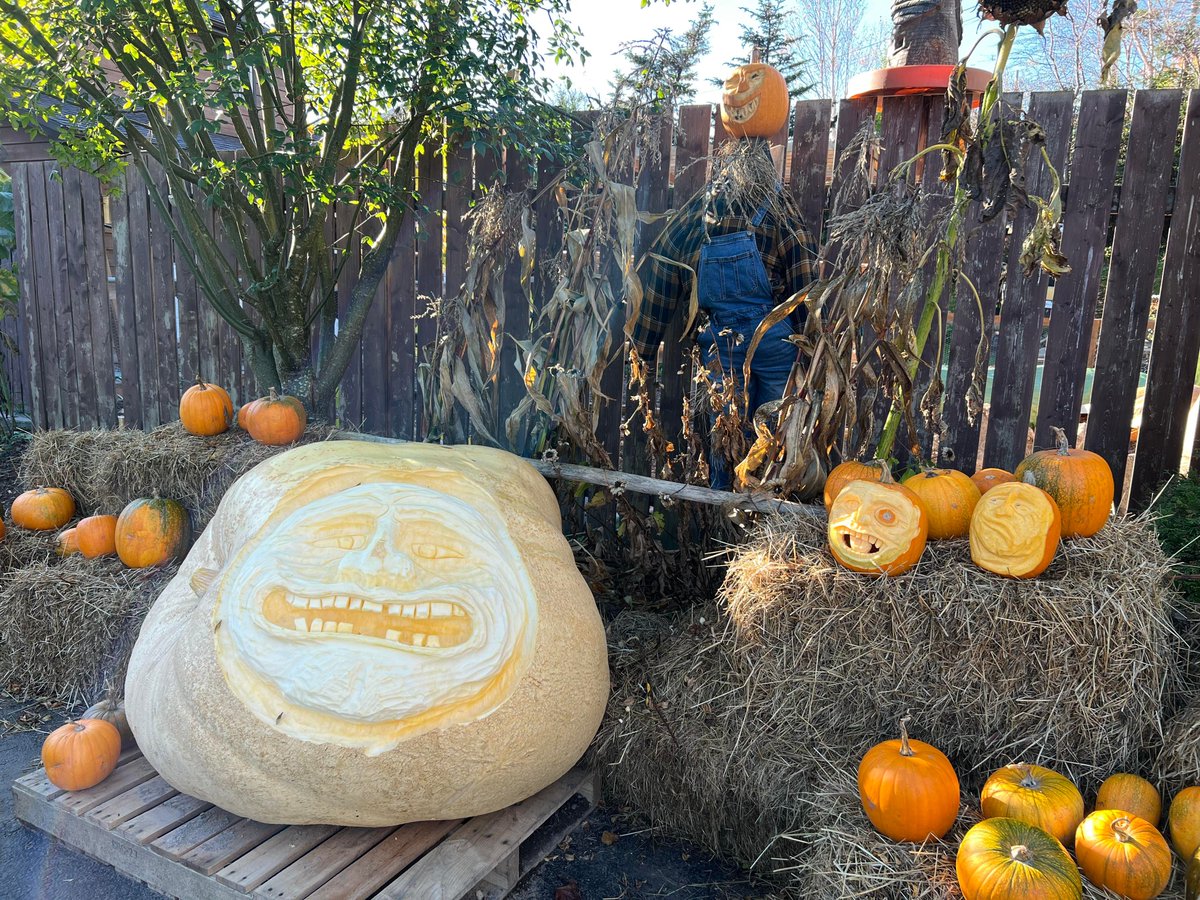 What did Leslee Lake of Clarenville do with Gourdie his giant pumpkin? He made art.