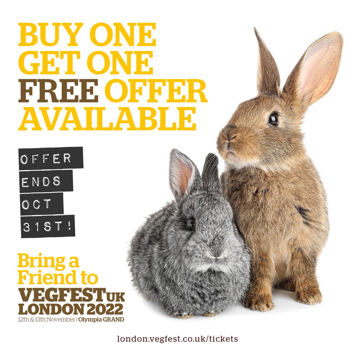 Animal Think Tank tweet media