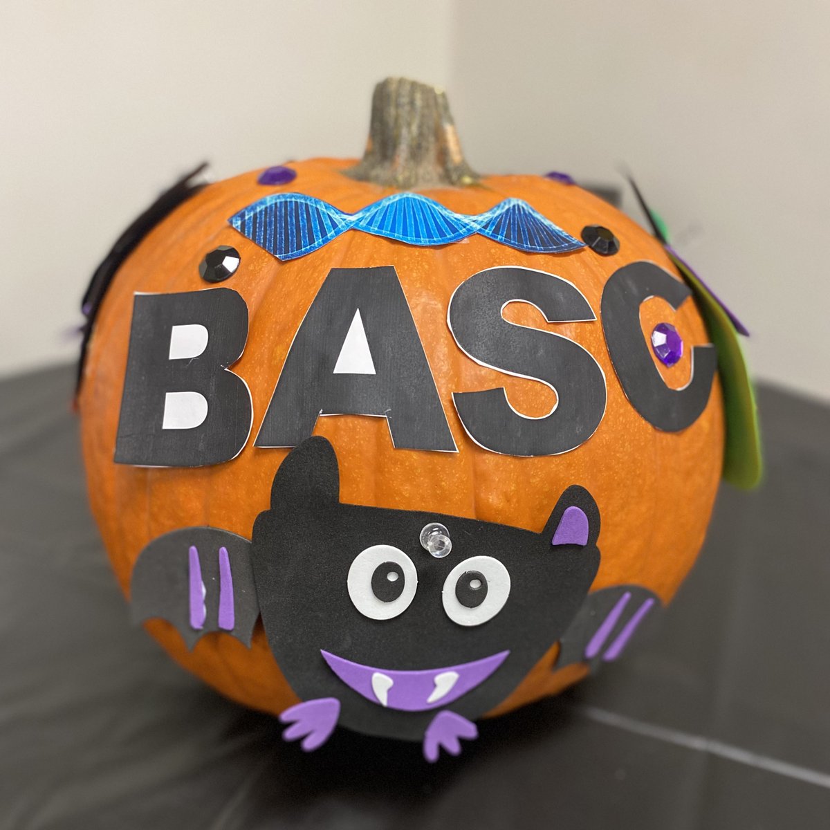 ucdavisbiology's tweet photo. Happy Halloween, #CBSAggies! We loved seeing those CBS pumpkins – these are from the Biology Academic Success Center (BASC), which is the college’s one-stop advising shop for CBS undergraduates. Way to go, team! (And everyone else out there, have a safe and fun Halloween!) https://t.co/8Dn8MY8qfS