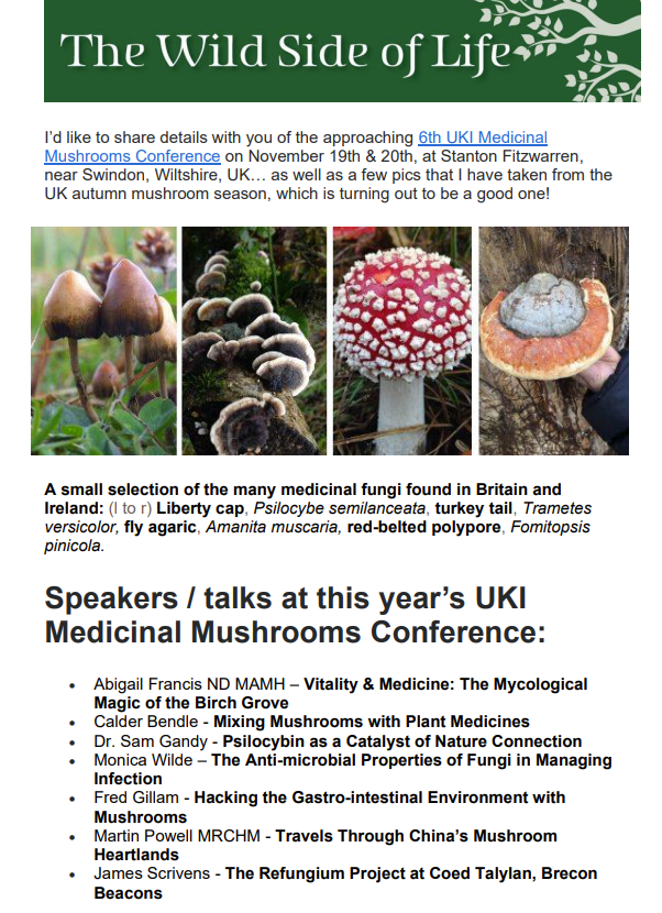 FredTheForager's tweet photo. The UKI #MedicinalMushrooms Conference on the 19th &amp; 20th of November has got something for everyone! Log inoculation, fungus forays, a mushroom market, talks on mushroom antibiotics, the microbiome, mushroom formulations with herbs, the mycological magic of the birch and more! https://t.co/Gz70KZeC04
