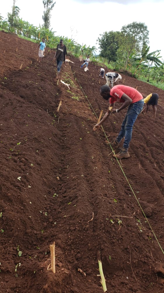 QuinoaHub tweet media