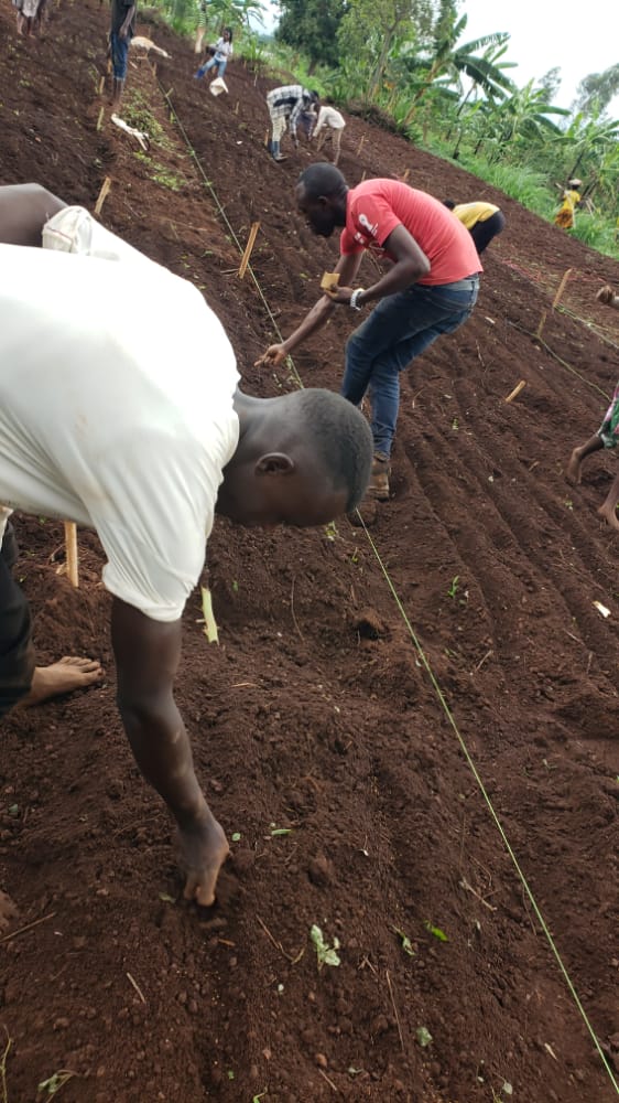 QuinoaHub tweet media