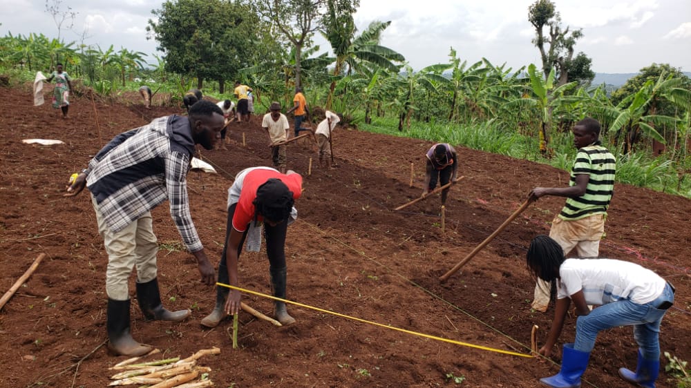 QuinoaHub tweet media