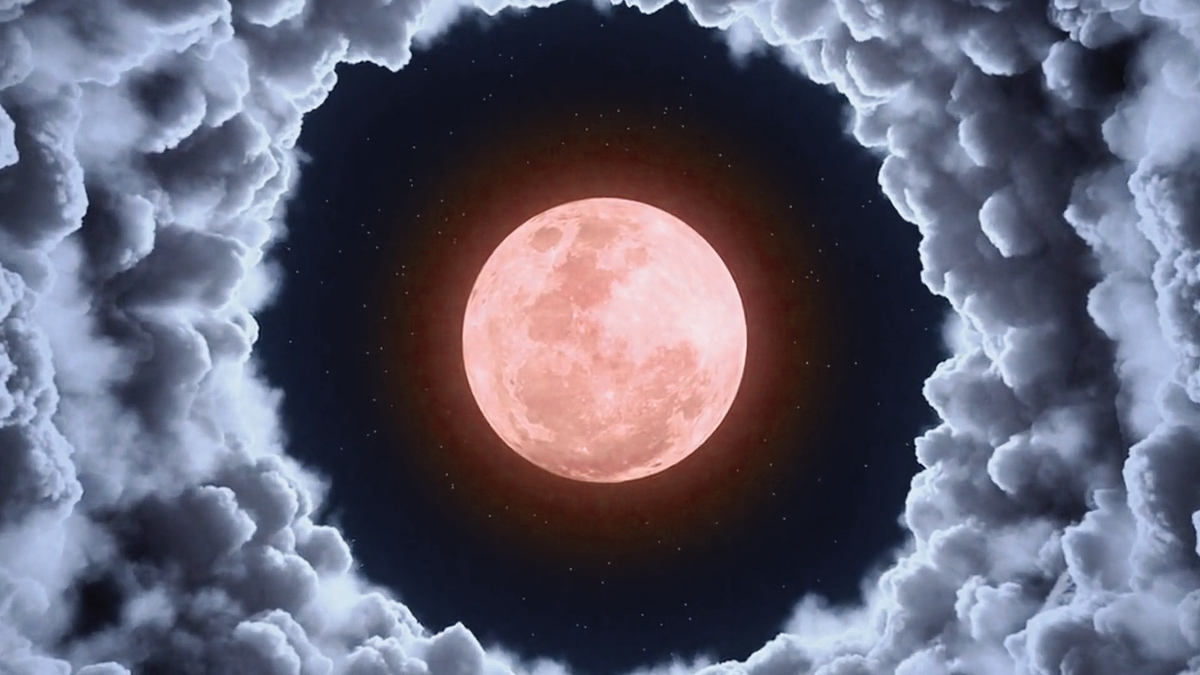 Zen Hanami tweet media