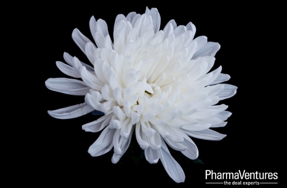 <a href="/PharmaVentures/">PharmaVentures, The Deal Experts</a>' thoughts are with our friends in South Korea and those who lost loved ones in the tragic event that occurred in Seoul at the weekend.