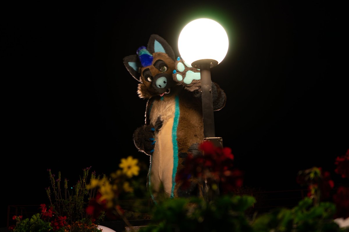 Happy Halloween! 
Don't let the yeen get ya!

📷 : <a href="/FlyingPuma_/">FlyingPuma</a> 
🪡 : @fursuitparade 

#glc12 #furry #fursuit #FursuitFriday #FursuitEveryday #hyena
