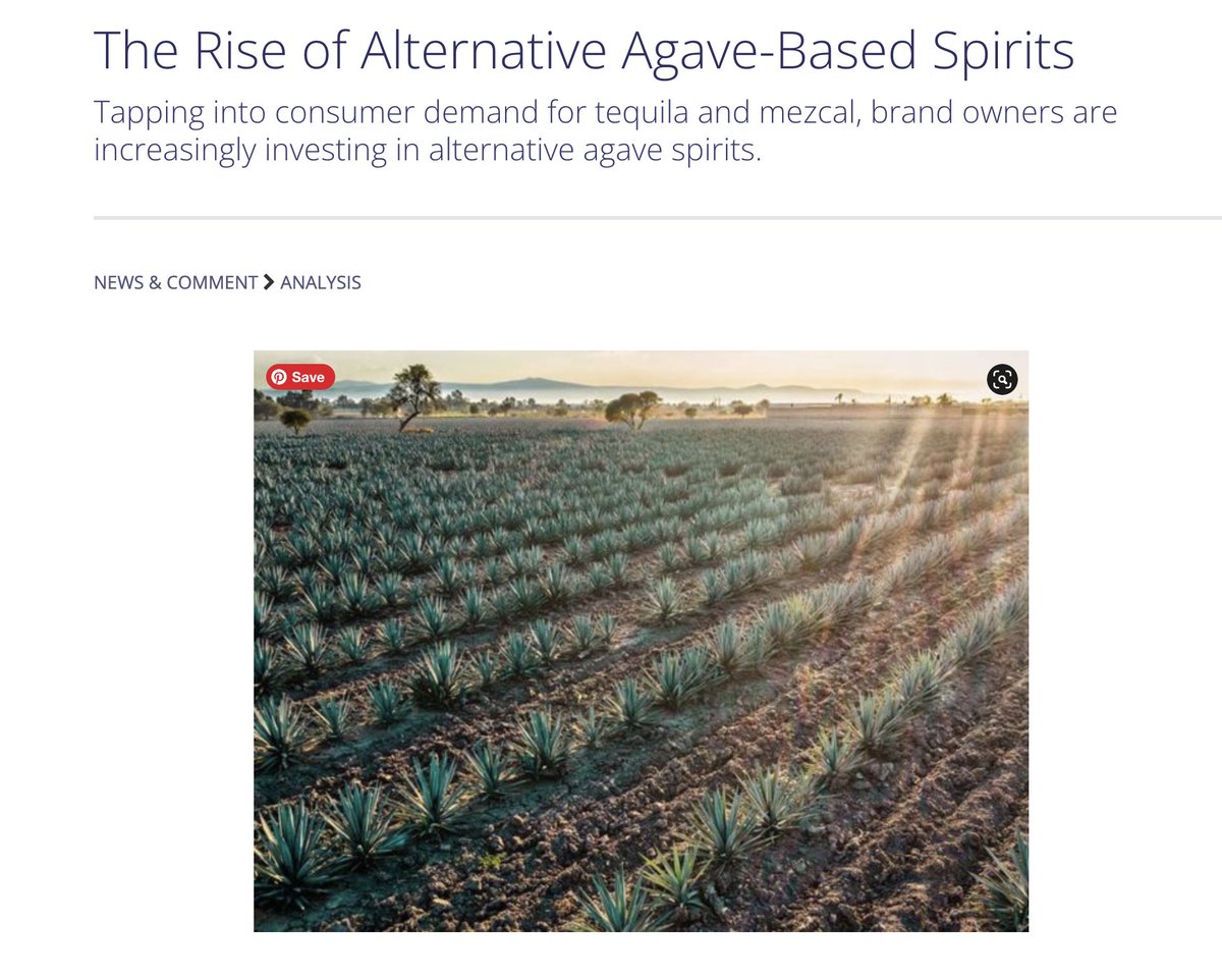 emmajanzen's tweet image. Yep, yep, yep! Thanks to the success of tequila and mezcal, interest in other Mexican agave spirits like Raicilla and Bacanora is on the rise. Folks also increasingly curious about non-Mexican agave spirits from India, Australia, California, and beyond. theiwsr.com/the-rise-of-al…