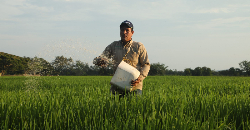 RevistaSemana's tweet photo. La compañía colombiana Nitrofert cuenta con una estrategia integral con la que busca fortalecer a pequeños y medianos productores agrícolas en todo el país.
#AliadosSemana #ConElApoyo de @NitrofertCol