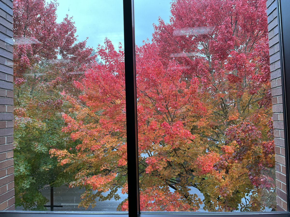 Beaverton City Library tweet media