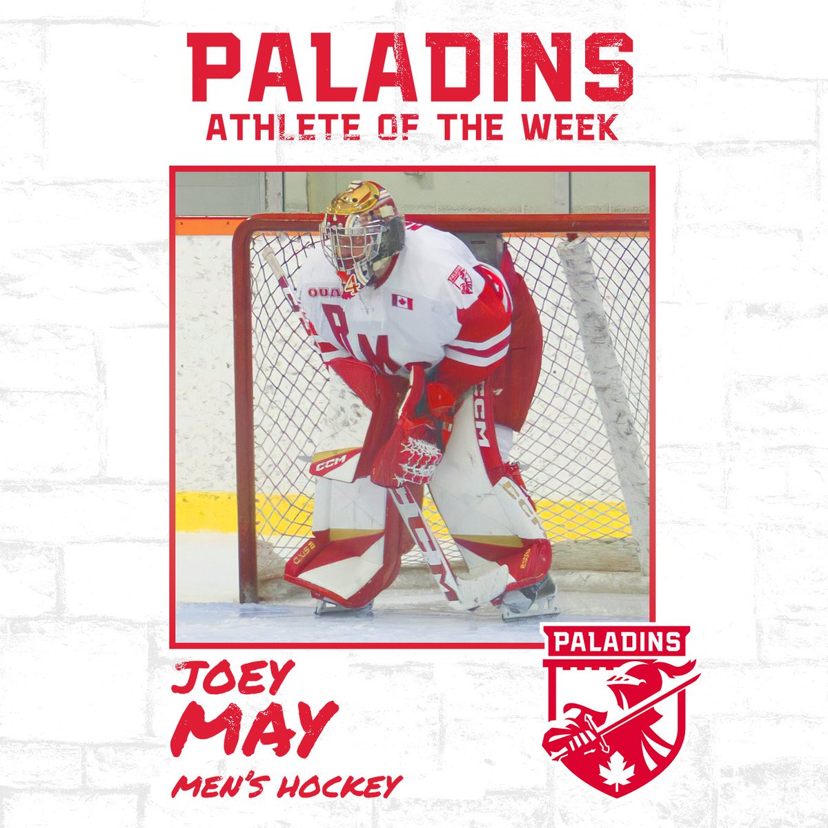 RMC Paladins CMR tweet media