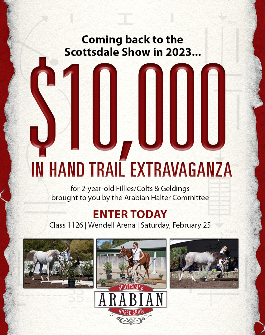 Did someone say more payouts? Because we did! 

scottsdaleshow.com/exhibitor-info…

#scottsdalearabians #Scottsdaleshow #arabianmecca #arabianhorseassociationofarizona #welovearabians #ahaa #arabian #arabianhorse #scottsdale #horse #horseshow #equine #equestrian