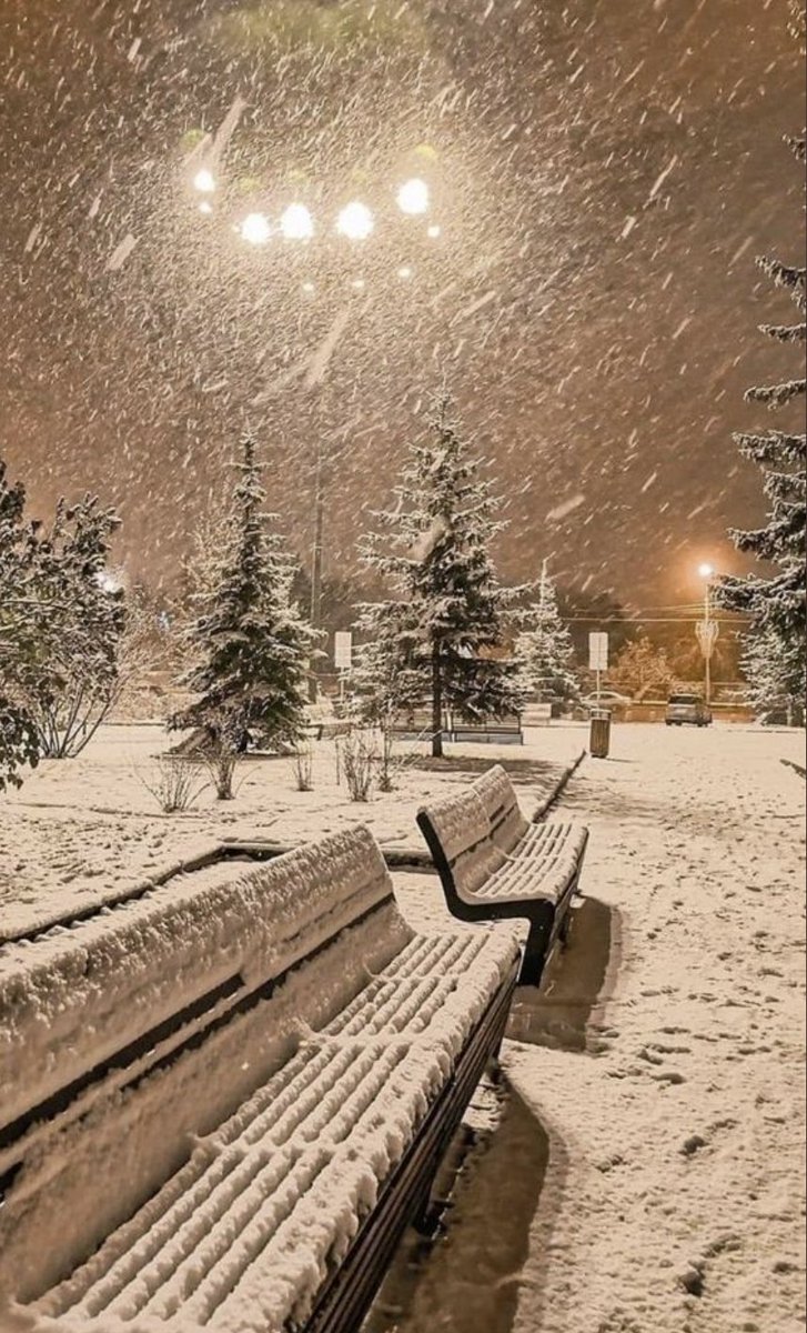 NYC in the winter 🙈☃❄
